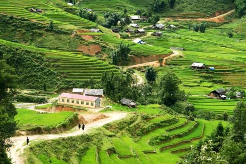 Paysage à Sapa